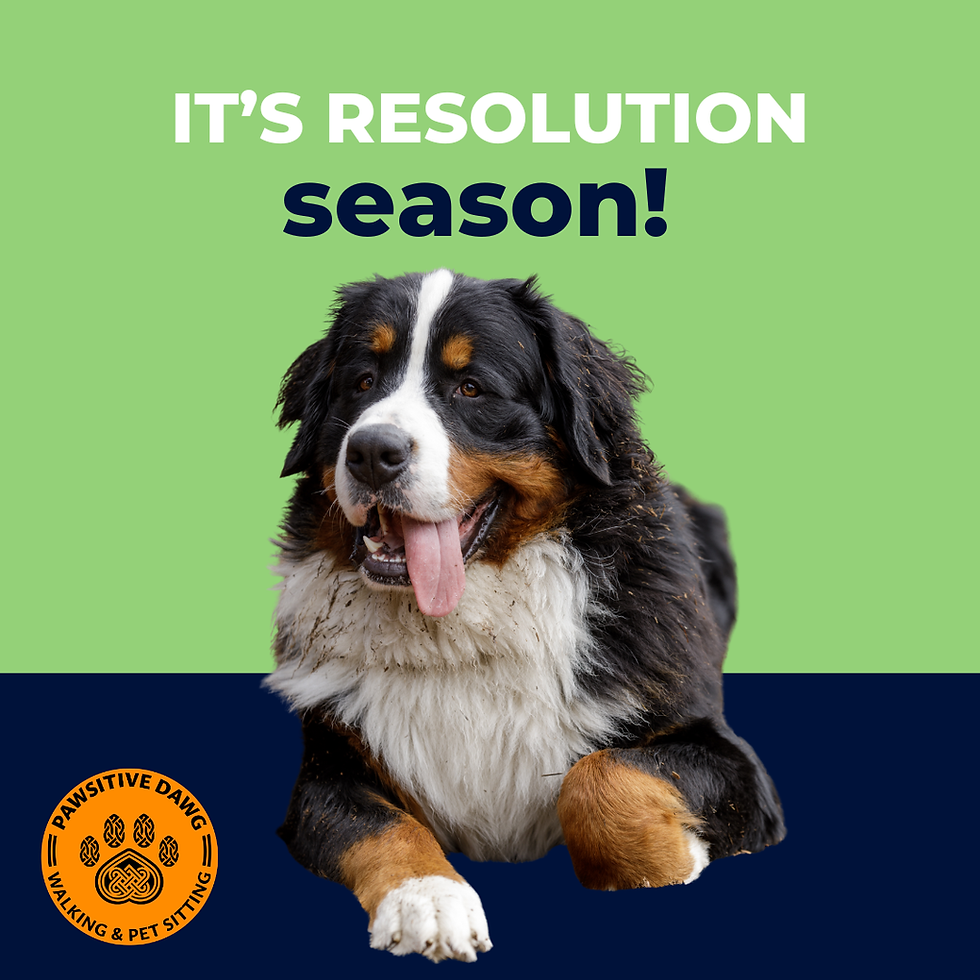 New Year, New Paws: Setting Goals for a Happier, Healthier Pet