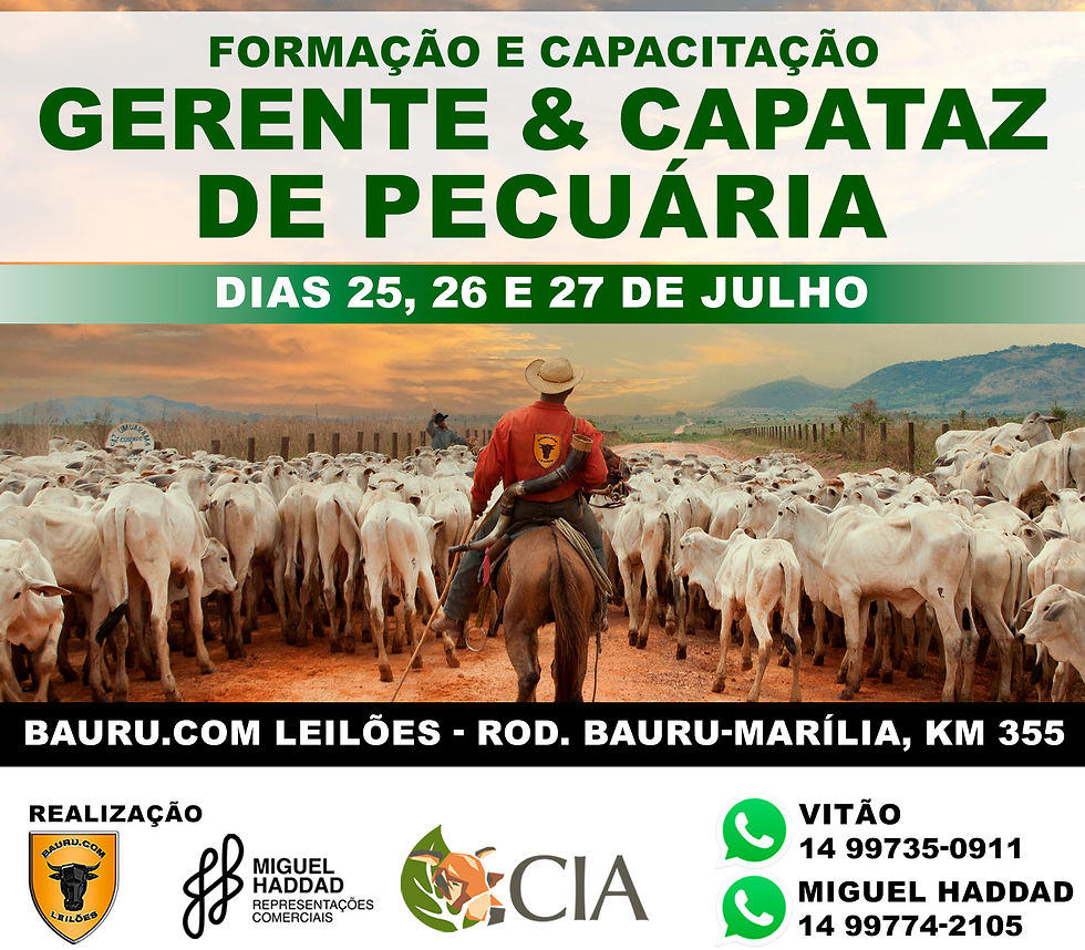 Miniatura: ÚLTIMAS VAGAS - CURSO DE FORMAÇÃO GERENTE  E CAPATAZ DE PECUÁRIA