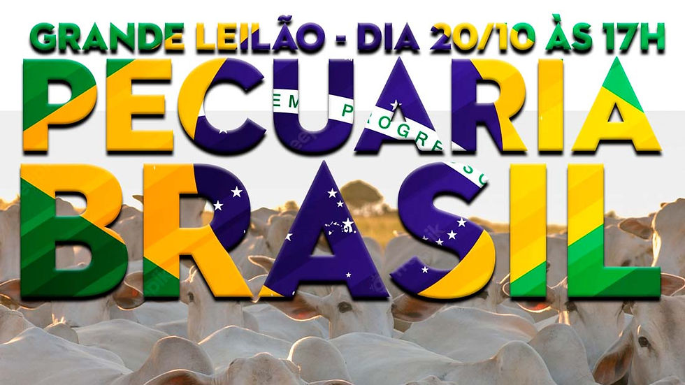 👉 Leilão Pecuária Brasil - 20/10 às 17h