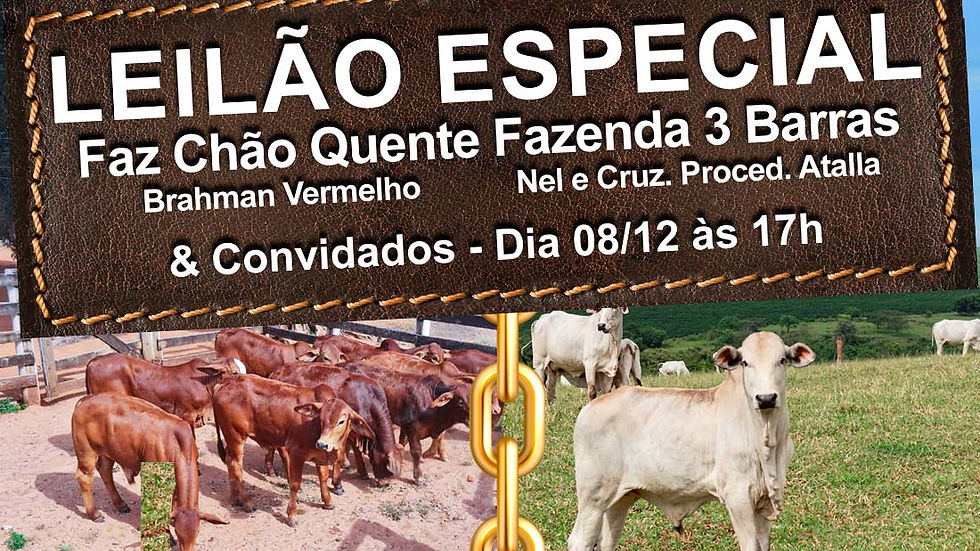 👉 Leilão Especial Faz. Chão Quente, 3 Barras e Convidados - 08/12 às 17h