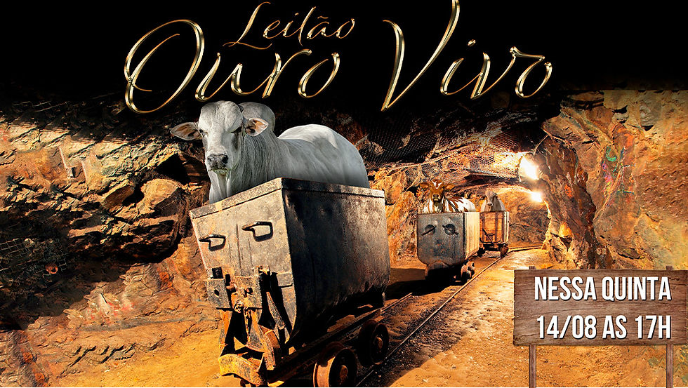 👉 LEILÃO OURO VIVO - Quinta 14/08 às 17h