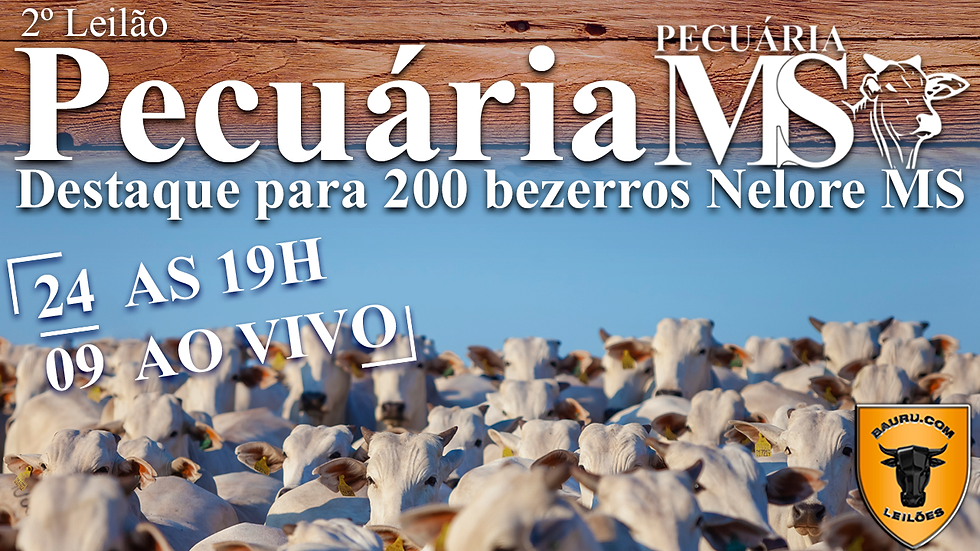 2º GRANDE LEILÃO PECUÁRIA MS E CONVIDADOS - Dia 24/09 às 19h