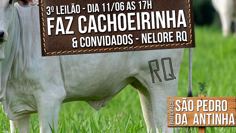 🌍 LEILÃO ESPECIAL FAZ CACHOEIRINHA E CONVIDADOS 👉 QUINTA DIA 11/06 ÀS 17H