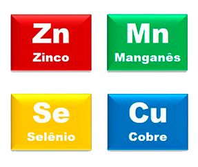 minerais separados.png