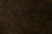 CoffeeBeans.jpg