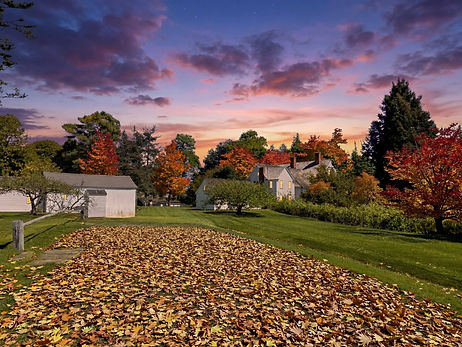 Firefly_change the sky to dusk 784490.jpg
