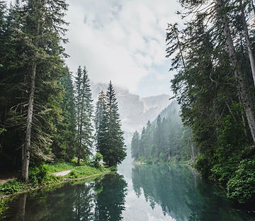 luca-bravo-ESkw2ayO2As-unsplash (1)_edit