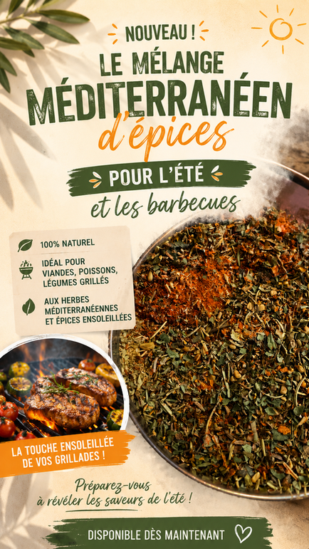 Nouveauté à découvrir 