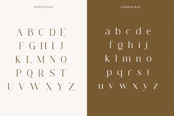 Black Megan Free Font