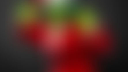 Oz Comic Con Christmas Edition 2025: A Festive Pop Culture Playground