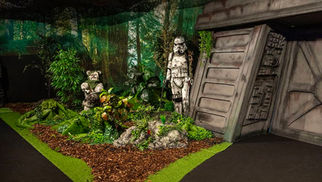 Unleashing The Force: Exploring the Star Wars Exhibition Through the Eyes of Dedicated Fans