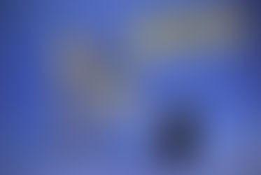 May the 4th Be with You!