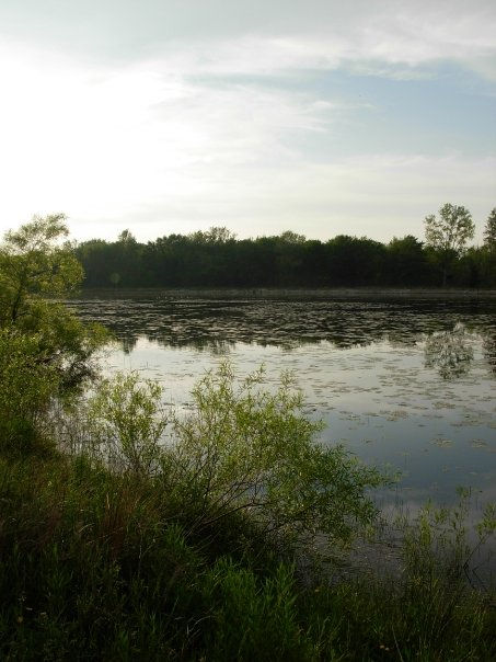 Munson Township_Best Park Lake with Trees in Background