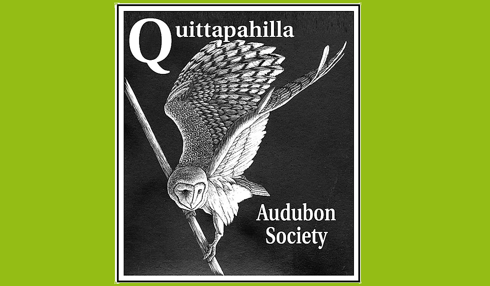 Quittapahilla Audubon Society