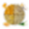 Untitled design (30).png