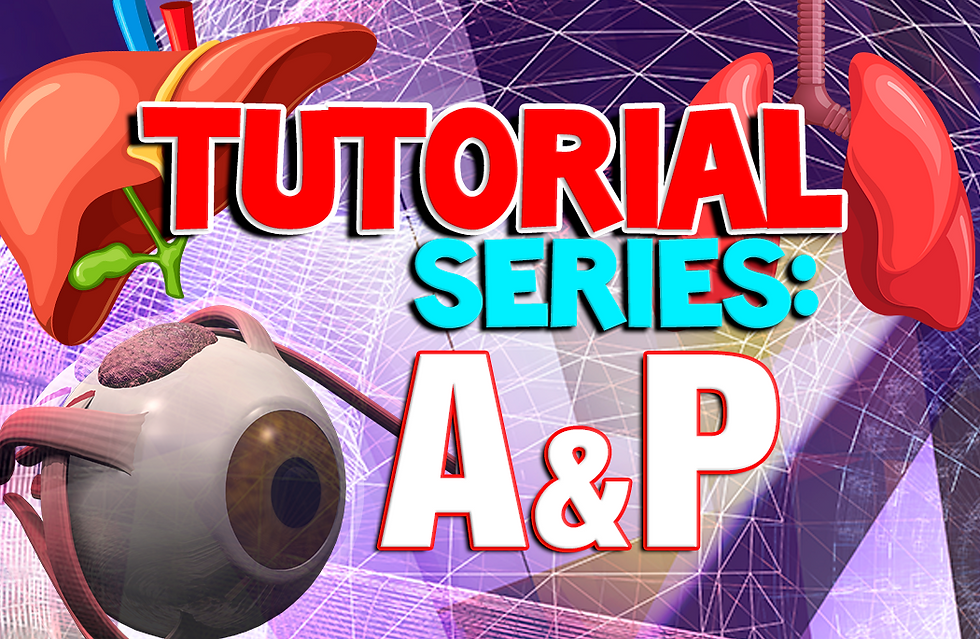 🔬A&P Tutorial 1! 📡