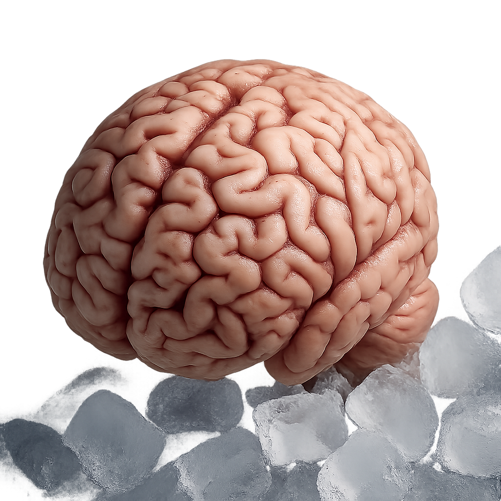 A brain on ice.