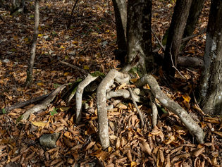 The World's Most Mysterious Place: Is This The Gateway To Another Dimension?