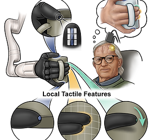 Valle BCI Tactile Perception Final-01.tif