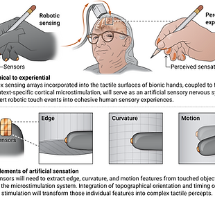 Google Chrome - Navigating the complexity of touch - Science 2025-02-11 at 6.34.21 PM.png