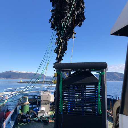 Cleanfish Equipment SPAG på servicebåt