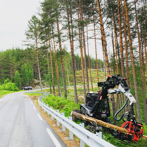 Bilde 22.06.2021, 08 33 15.jpg