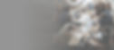diverse-businesspeople-having-meeting.jpg