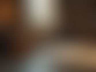 Exploring the World of Roxi Raine's Literature