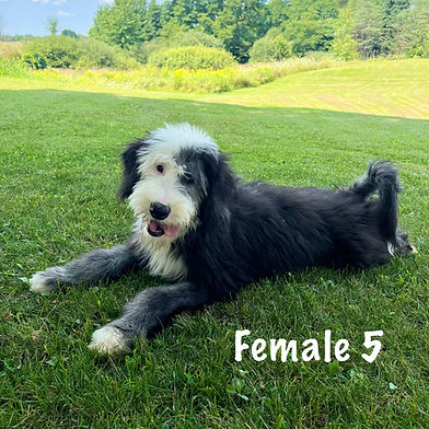 Female 5