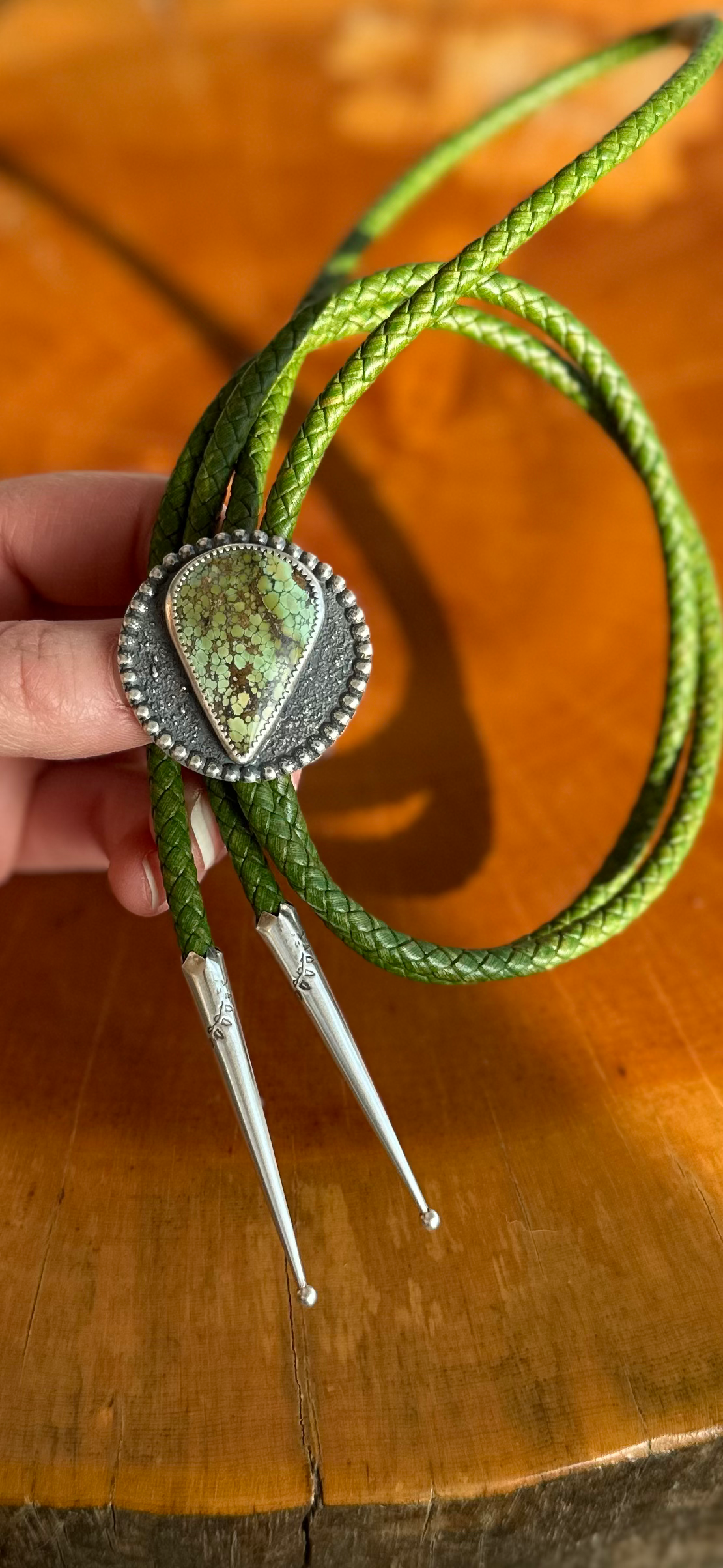 Extraterrestrial Dust