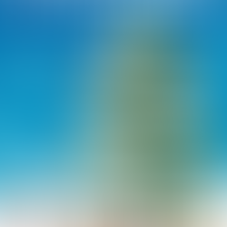 The Hoppy Times...December 2022