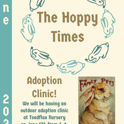 The Hoppy Times...June 2021