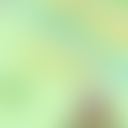 The Hoppy Times...March 2023