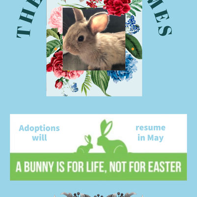 The Hoppy Times...April 2022