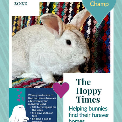 The Hoppy Times...August 2022