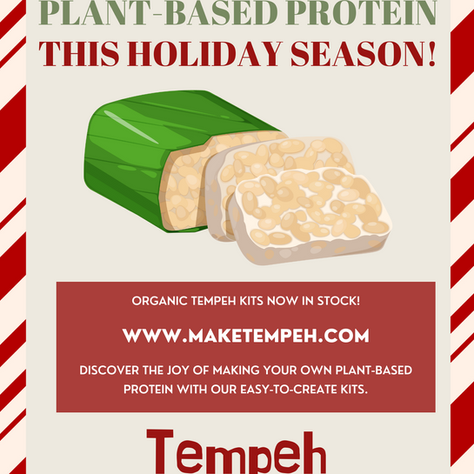 TEMPEH HOLIDAY KITS