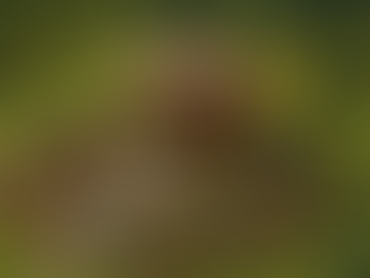 The Cure For Homelessness isn't Money