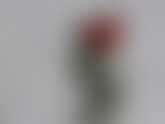 Paperwork and Poetry