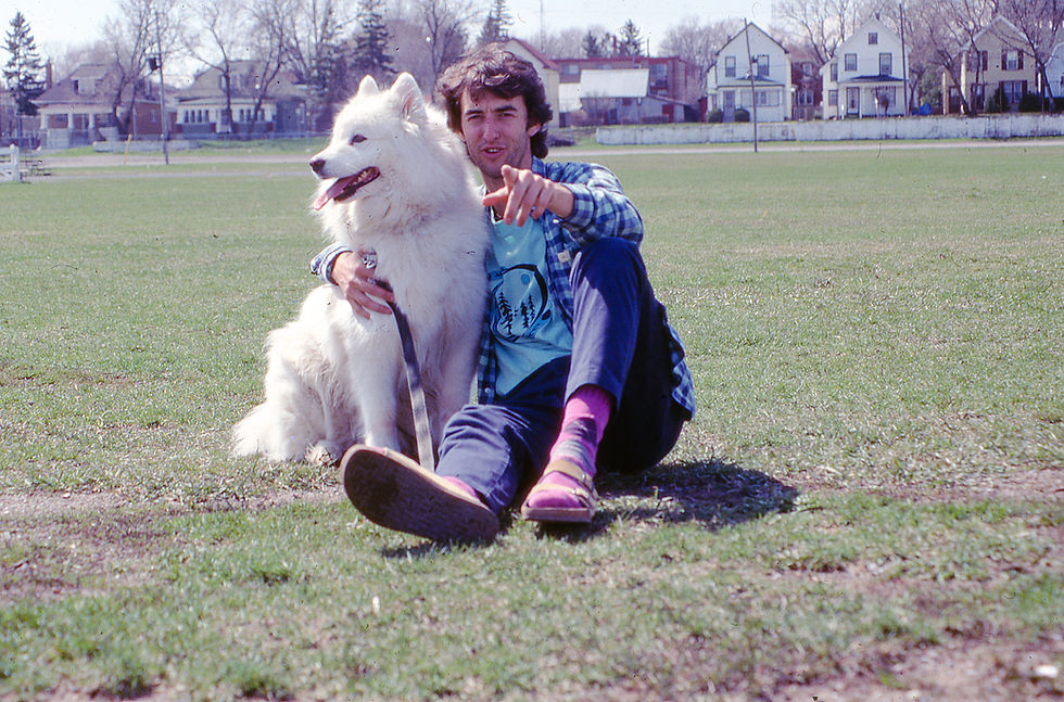 Dogs, cats and the state of society