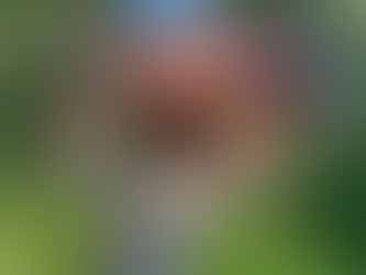 🎪 Do We All Need Our Own Place to Live?