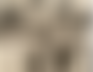 🌍 The Disconnection Age