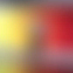 A historical Gem: The Israel Museum