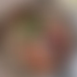 Fancy in the Shuck: Jacko Street.