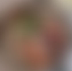 Fancy in the Shuck: Jacko Street.