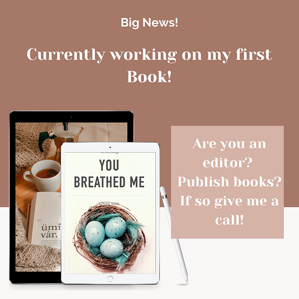 new ebook book promotional instagram post.png