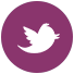 twitter.png