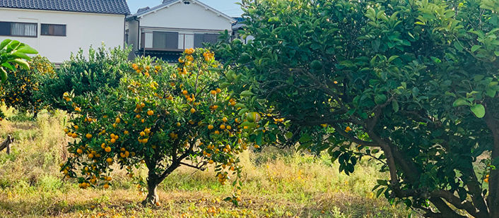 気象連動型広告で「おいしい」を全国へ