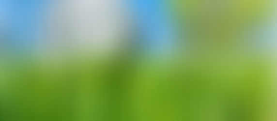 庭の芝生管理は雑草退治だけじゃない!気温や雨量も要チェック!