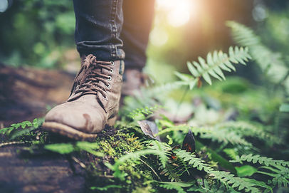 Fussabdruck berechnen_AdobeStock_170947496.jpeg