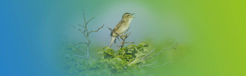 News_Header_1790x558.png